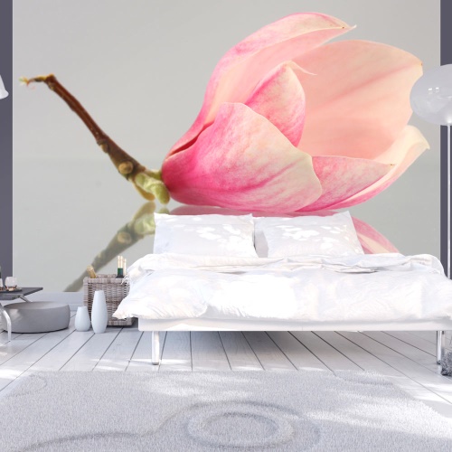 Fototapeta - A lonely magnolia flower