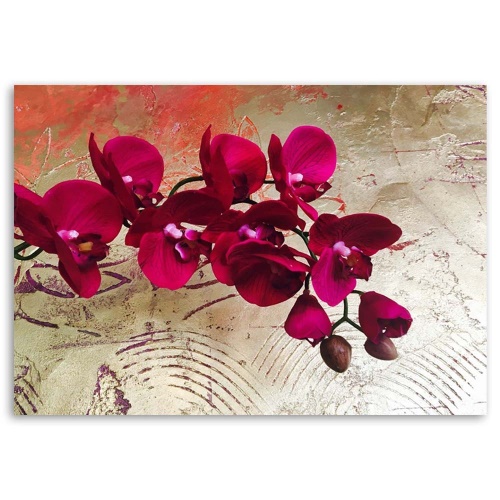 Obraz na plátně Růžová orchidej Květina Textura