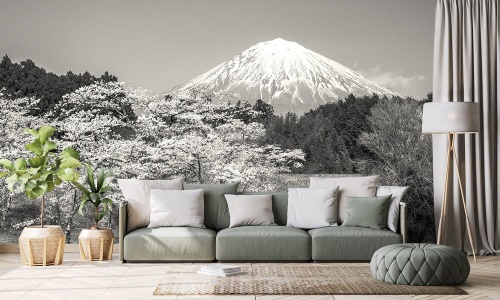 Samolepící fototapeta hora Fuji v černobílém