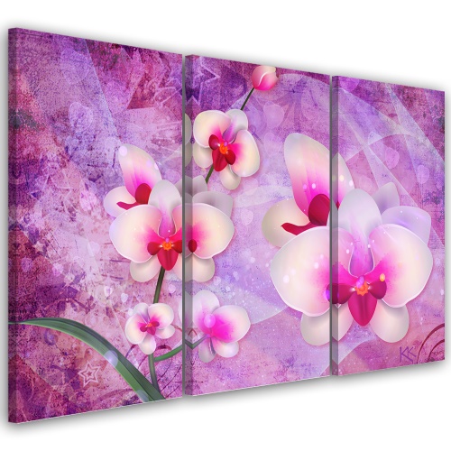 Obraz na plátně třídílný, Abstrakce orchidejí