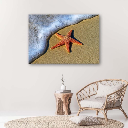 Obraz na plátně Písek na pláži s hvězdicemi