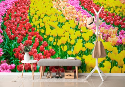 Samolepící fototapeta zahrada plná tulipánů