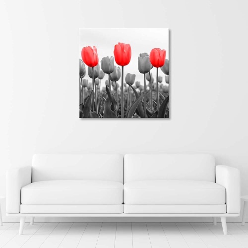 Obraz na plátně, Červený tulipán na louce