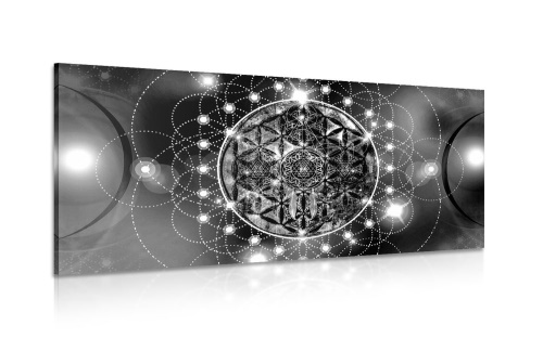 Obraz okouzlující Mandala v černobílém provedení