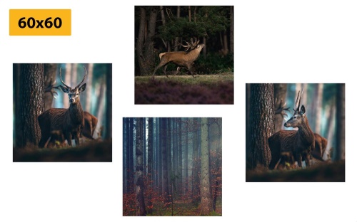 Set obrazů kouzlo lesních zvířat