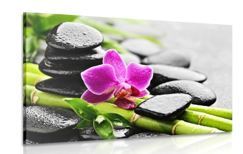 Obraz Spa zátiší s fialovou orchidejí