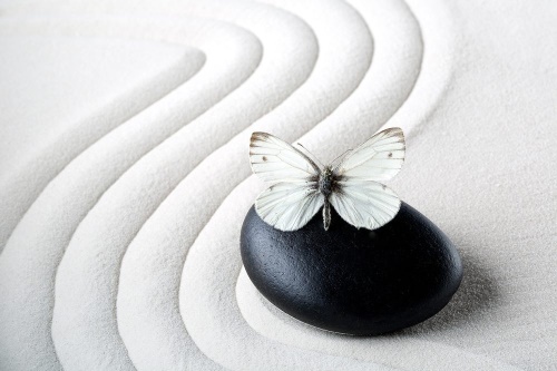 Samolepící tapeta Zen kámen s motýlem