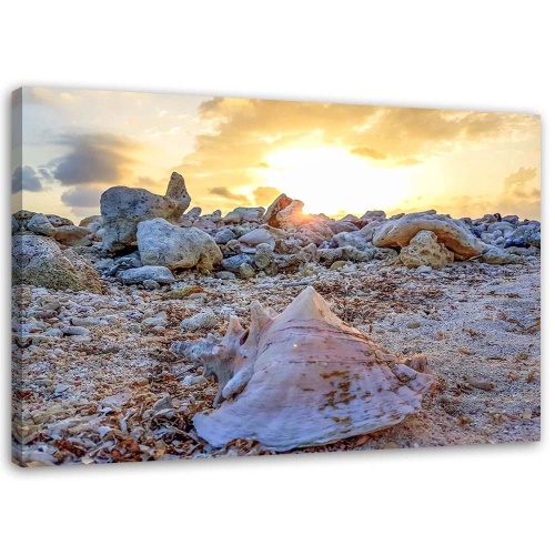 Obraz na plátně Mušle kameny moře