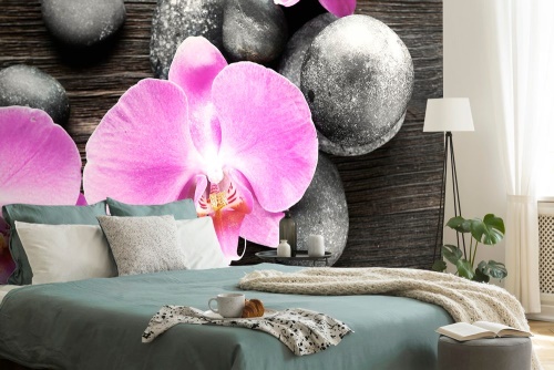 Samolepící fototapeta nádherná orchidej a kameny
