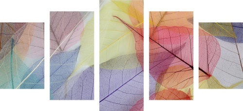 5-dílný obraz žilky na barevných listech