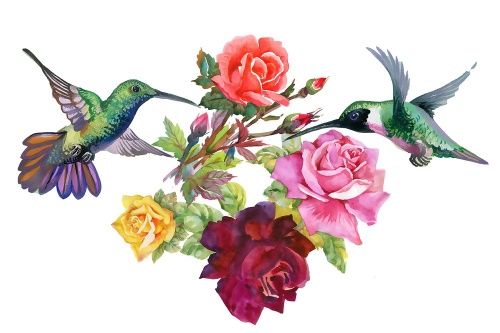 Tapeta kolibříky s květinami