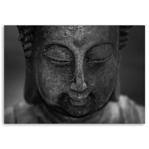 Obraz na plátně Hlava meditujícího Buddhy