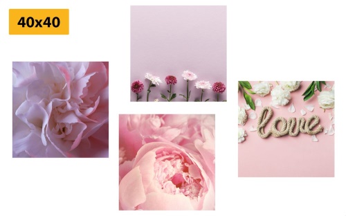 Set obrazů květiny v  jemném růžovém odstínu