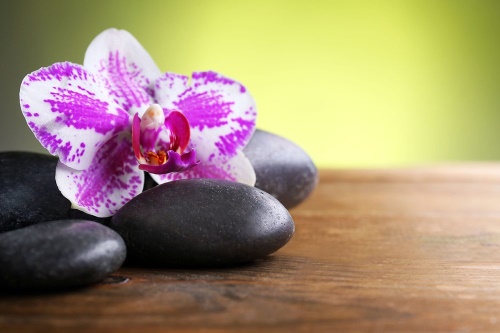 Fototapeta orchidej a černé kameny