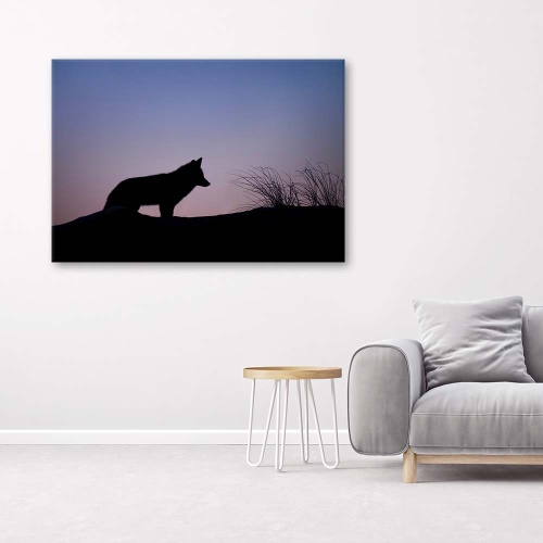 Obraz na plátně Wolf Purple Sunset