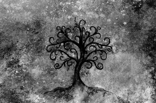 Tapeta strom života černobílý