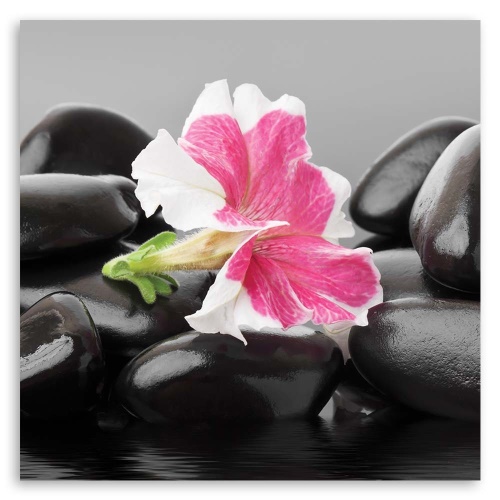 Obraz na plátně, Květiny Zenové kameny