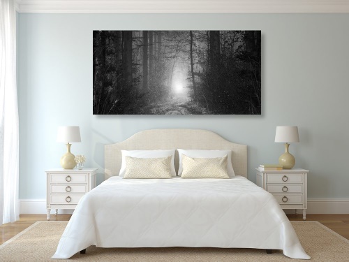 Obraz světlo v lese v černobílém provedení