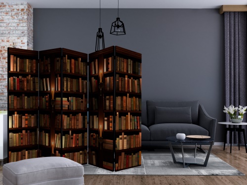 Paraván - Bookshelves II [Room Dividers]