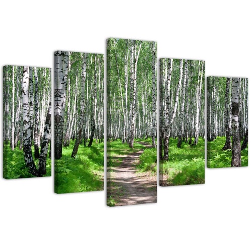 Obraz na plátně pětidílný Příroda březového lesa