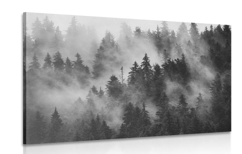 Obraz hory v mlze v černobílém provedení
