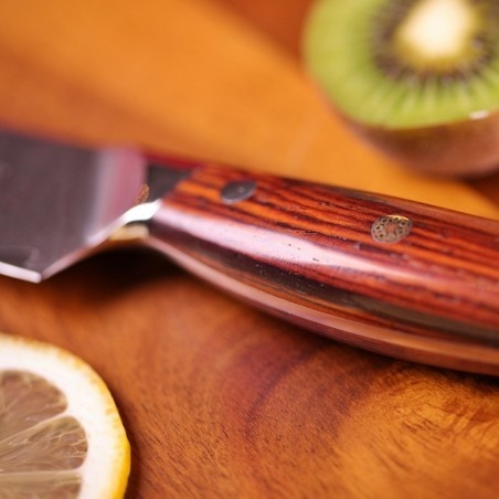 DELLINGER Rose-Wood Damascus nůž Santoku 7" (175mm)