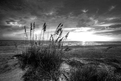 Samolepící fototapeta západ slunce na pláži v černobílém