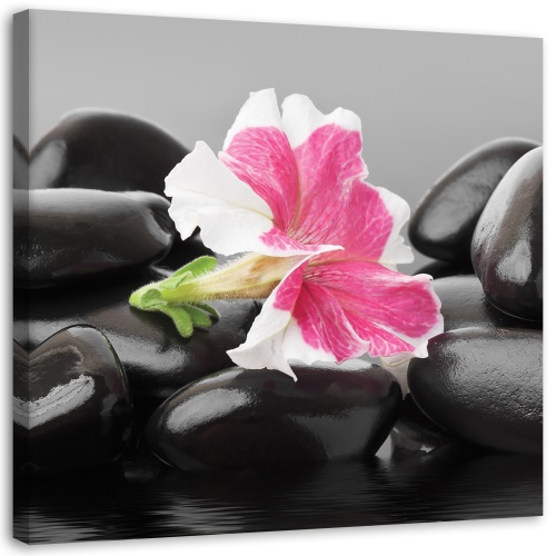 Obraz na plátně, Květiny Zenové kameny