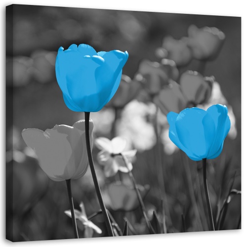 Obraz na plátně Tulipánové květiny Příroda Modrá
