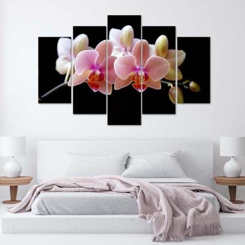 Obraz na plátně pětidílný Růžová orchidej