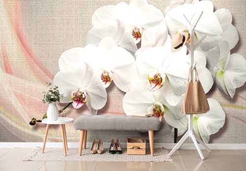 Samolepící tapeta bílá orchidej na plátně