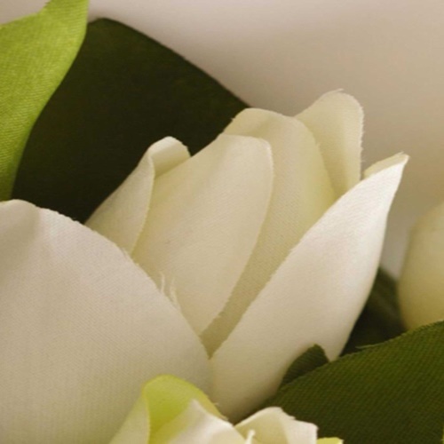 Ozdobný paraván Bílé tulipány květy