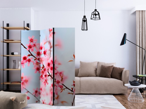 Paraván - Symbol of Japan - sakura flowers [Room Dividers]