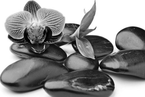 Obraz masážní wellness kameny v černobílém provedení