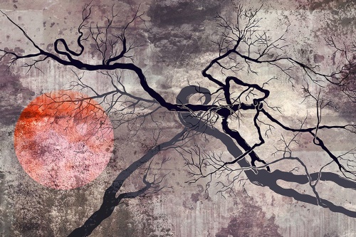 Samolepící tapeta surrealistické stromy