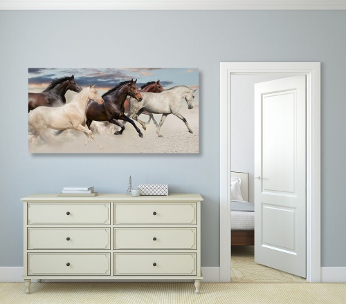 Obraz stádo koní