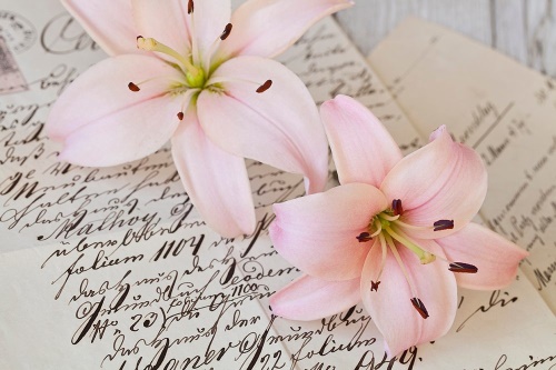 Samolepící fototapeta lilie na elegantním listu
