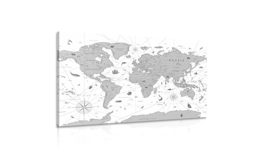 Obraz černobílá mapa