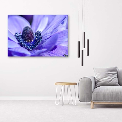 Obraz na plátně Fialová květina Příroda