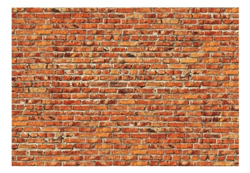 Fototapeta - Brick Wall