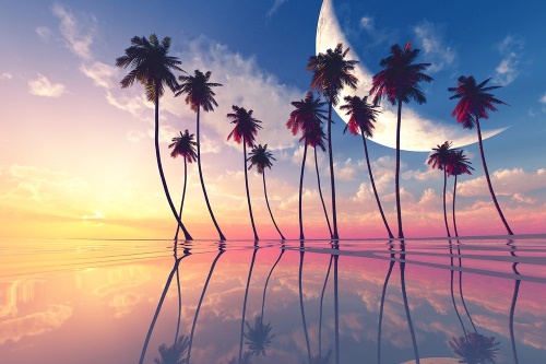 Tapeta západ slunce nad tropickými palmami