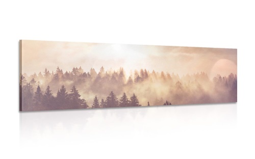 Obraz mlha nad lesem
