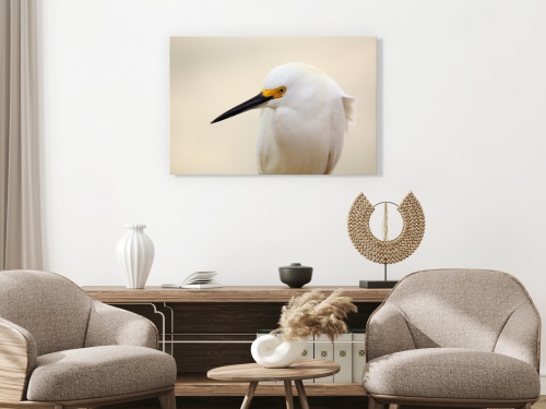Obraz - Snowy Egret (1 Part) Wide