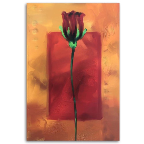 Obraz na plátně Růže Květy Červená příroda
