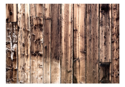 Fototapeta - Poetry Of Wood