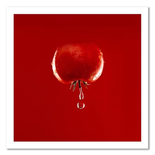 Obraz na plátně, Zeleninová voda z červených rajčat