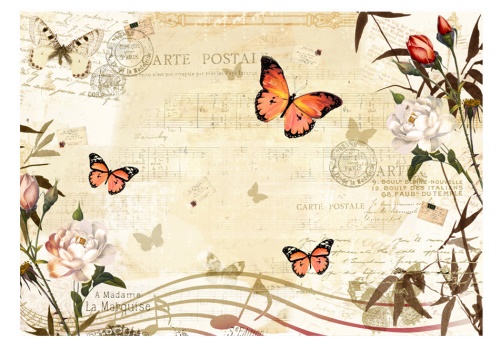 Fototapeta - Melodies of butterflies