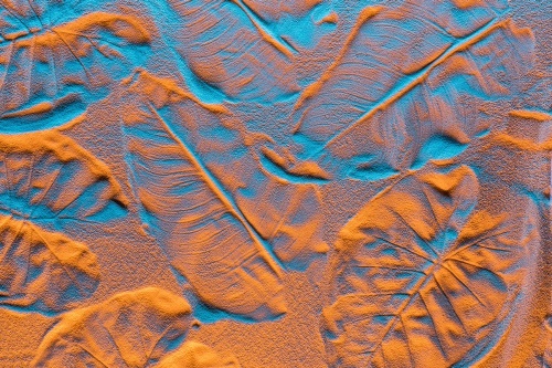 Samolepící tapeta textura listů v písku