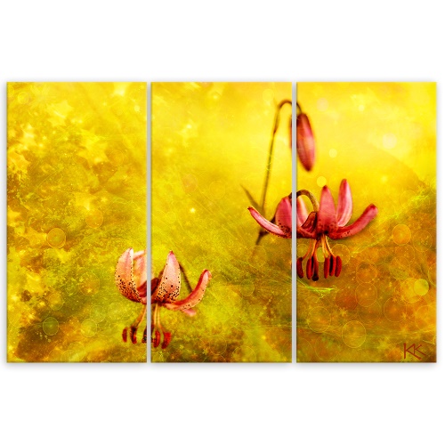 Obraz na plátně třídílný, Zaskacené tulipásy květin