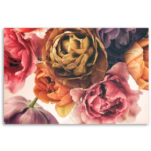 Obraz na plátně, Kytice barevných květin